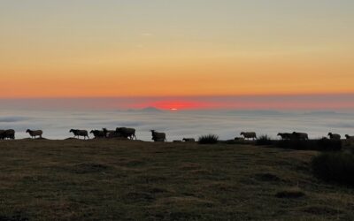 1. Pyrénées Atlantiques – Von Hendaye bis Arrens-Marsous