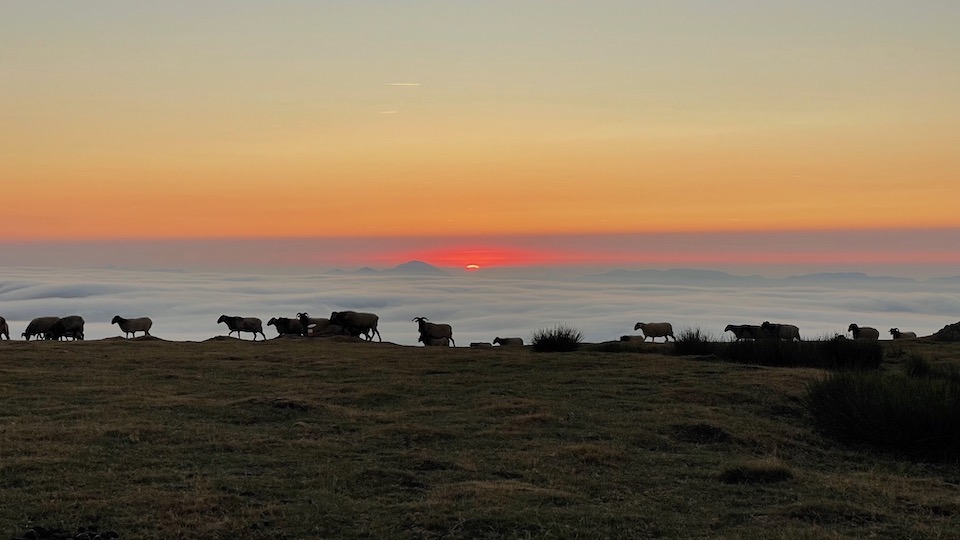 1. Pyrénées Atlantiques – Von Hendaye bis Arrens-Marsous