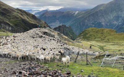 3. Pyrénées Ariégeoises – Von den Minen de Bentaillou bis zum Coll de Come d’Anyell